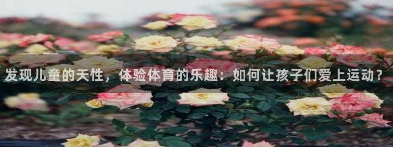 球客岛