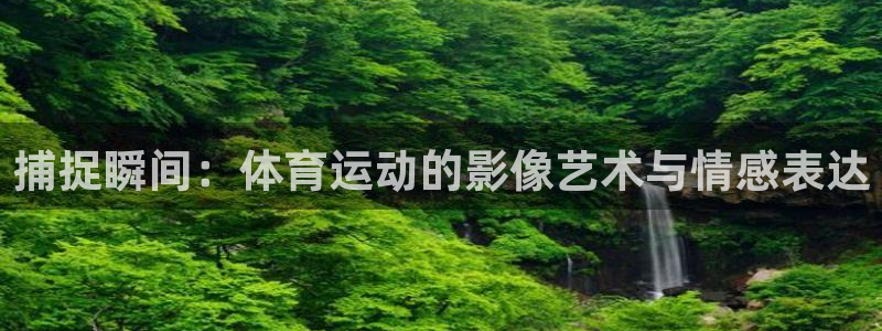 球客岛：捕捉瞬间：体育运动的影像艺术与情感表达