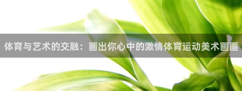 球客岛：体育与艺术的交融：画出你心中的激情体育运动美术画画